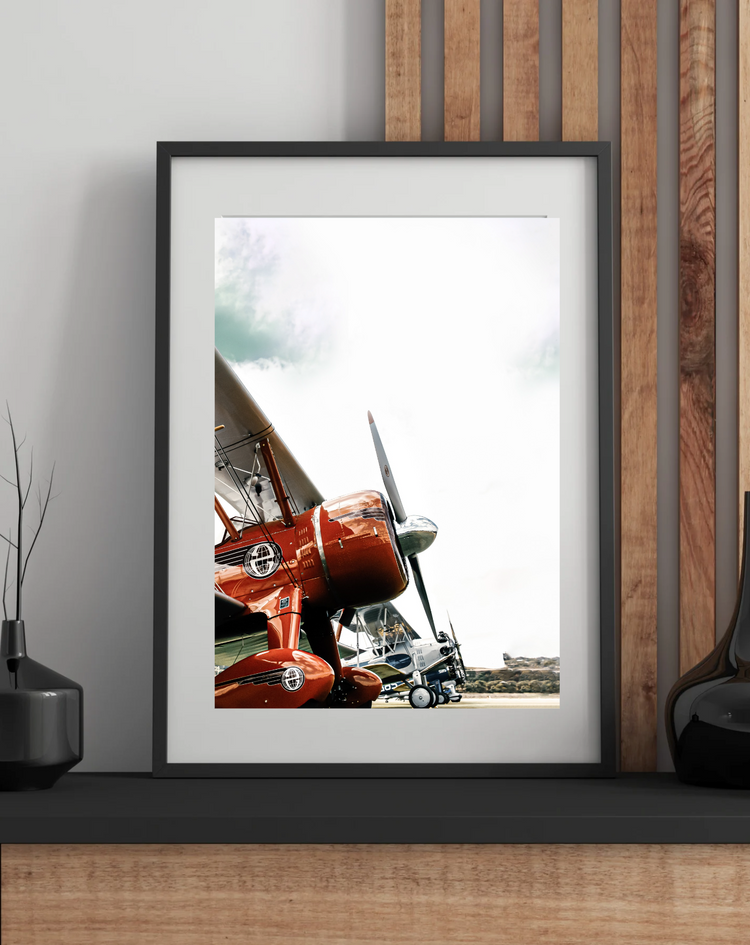 Crimson Wing 1930 Stearman