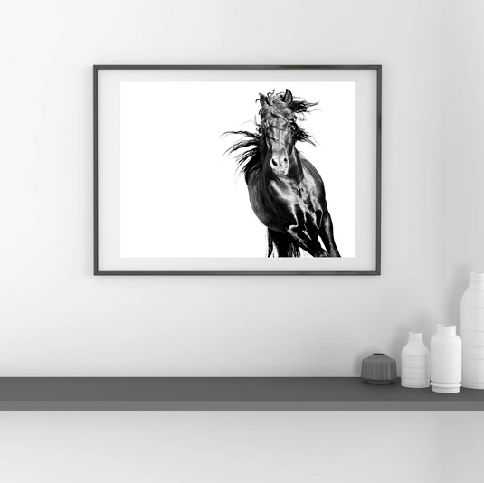 The Soul of The Horse