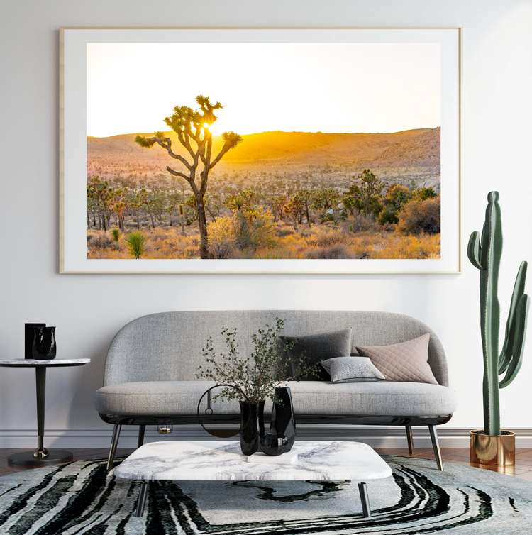 Desert Gold-Joshua Tree