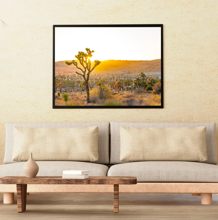 Desert Gold-Joshua Tree