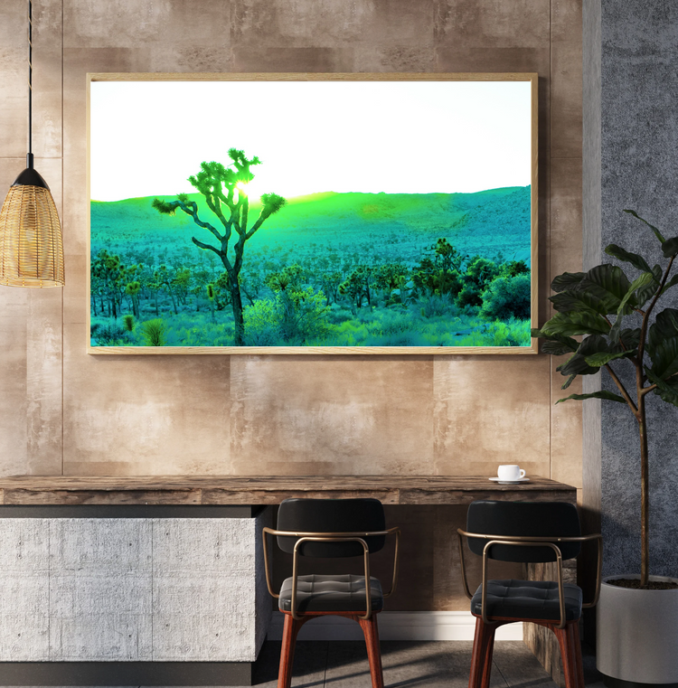 Desert Gold-Joshua Tree