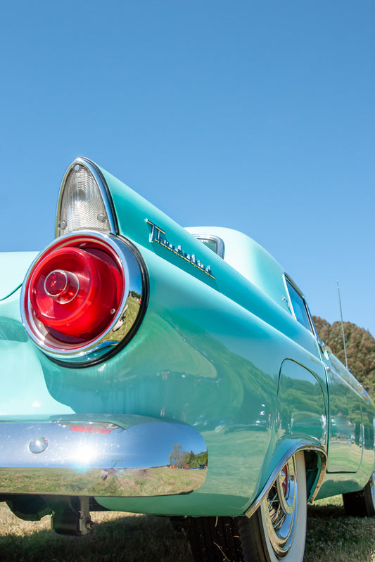 Someday- Turquoise Ford Thunderbird Fins