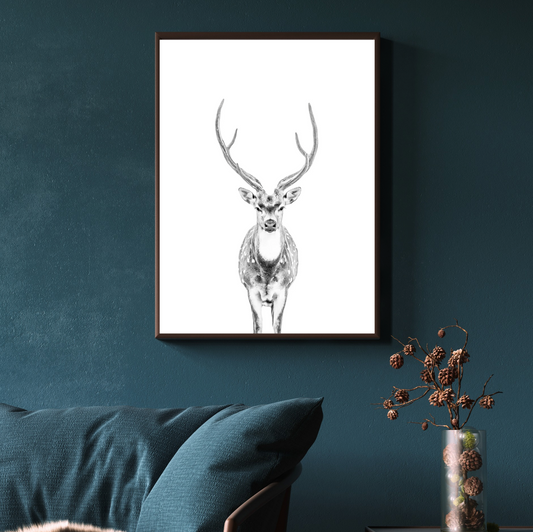 Ardan -Axis stag