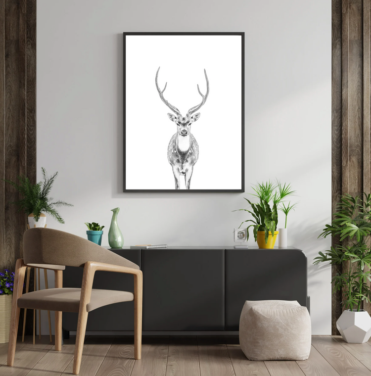 Ardan -Axis stag