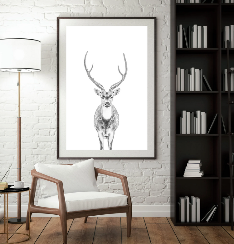 Ardan -Axis stag