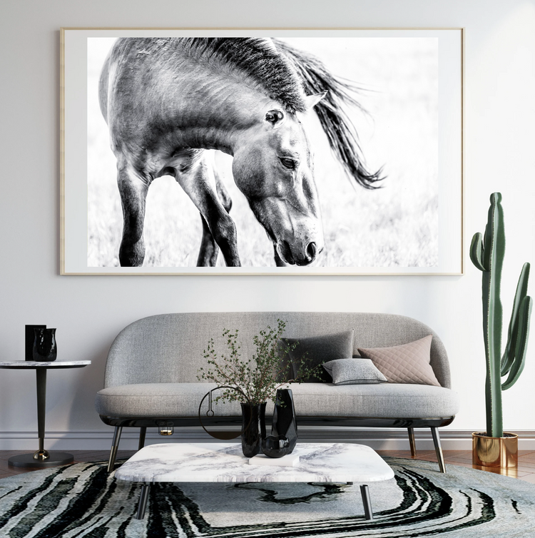 Kulan