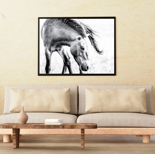 Kulan