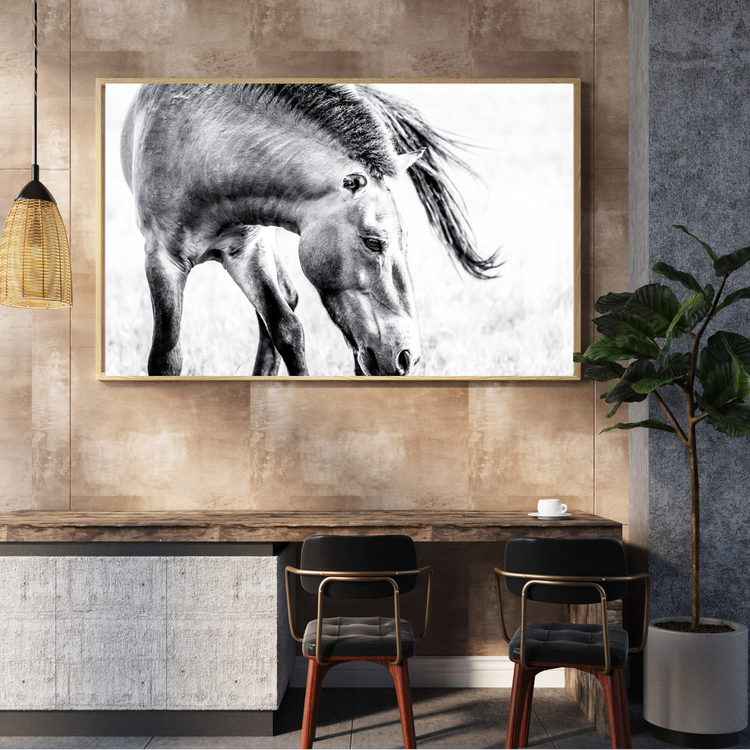 Kulan