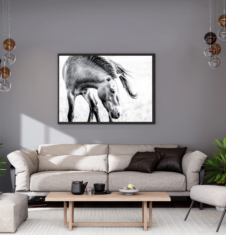 Kulan
