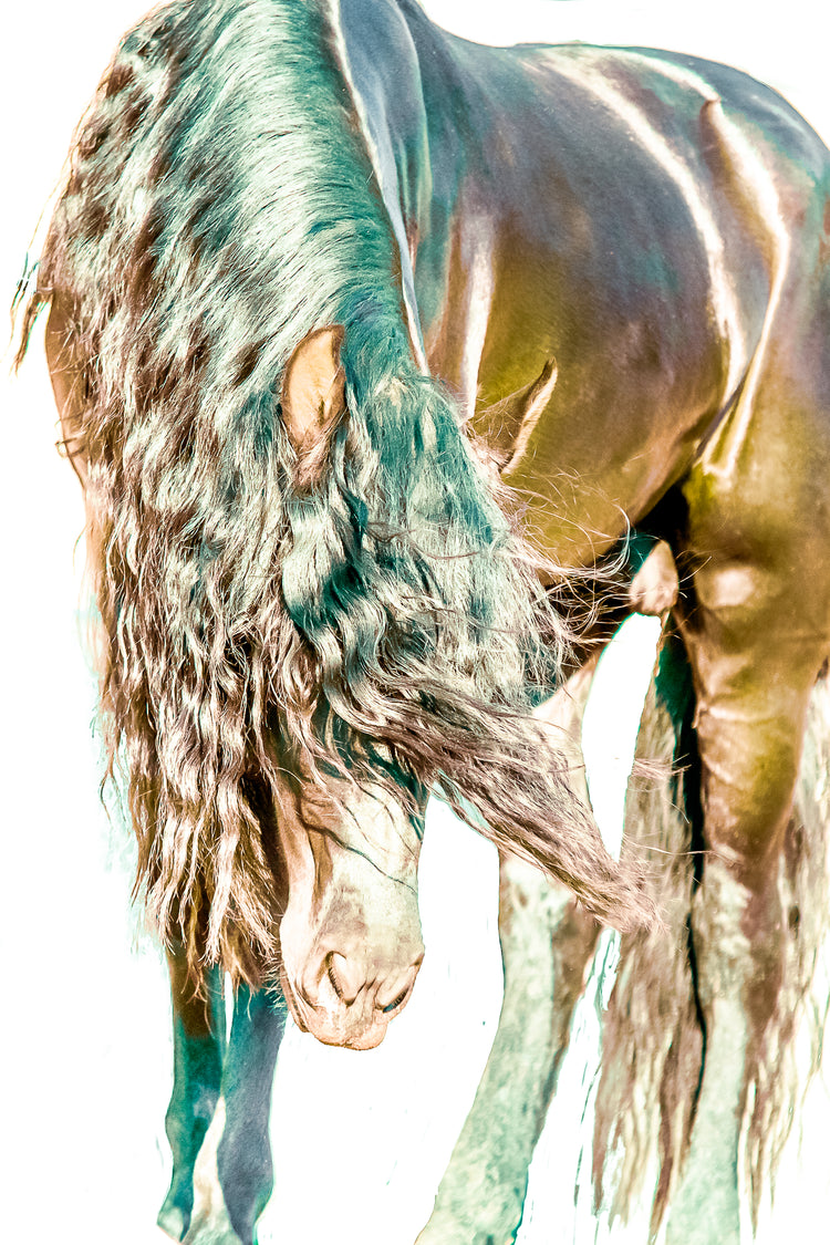 Rested Wind