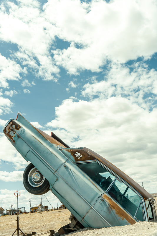 Nose to the Sky